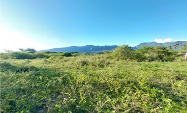 VENTA ESPECTACULAR LOTE TOTALMENTE PLANO EN CHINAUTA CUNDINAMARCA