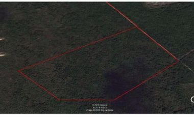 Venta de Terreno para desarrollador en Conkal Yucatán