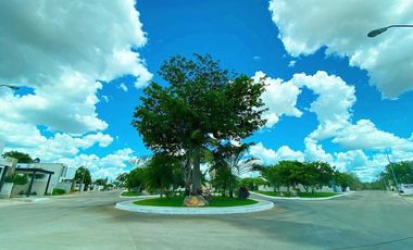 ¡Terreno en Venta en Residencial Kanan, Conkal! Precio de Oportunidad