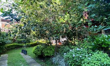 Calle Morelos Casa En VENTA