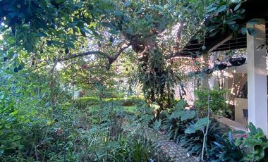 Calle Morelos Casa En VENTA