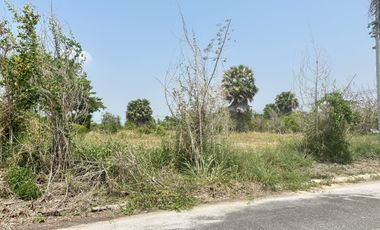 Prime Land Plot for Sale in Palm Village – Rare Opportunity!