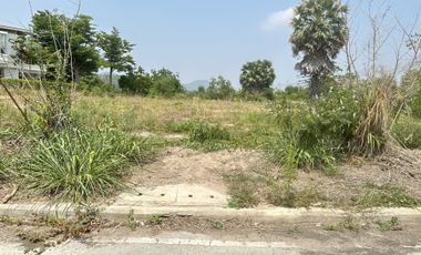 Prime Land Plot for Sale in Palm Village – Rare Opportunity!