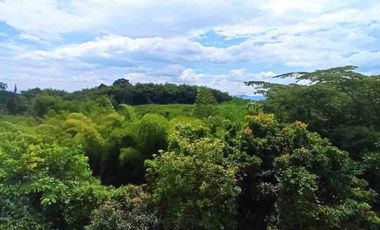 APARTAMENTO EN VENTA EN CENTENARIO/ARMENIA