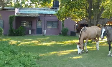 Campo en Venta - Carlos Keen