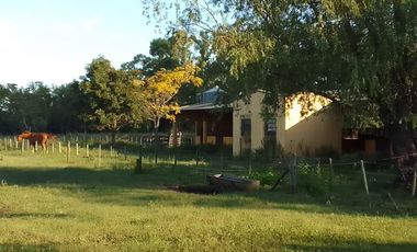 Campo en Venta - Carlos Keen
