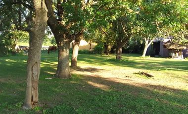 Campo en Venta - Carlos Keen