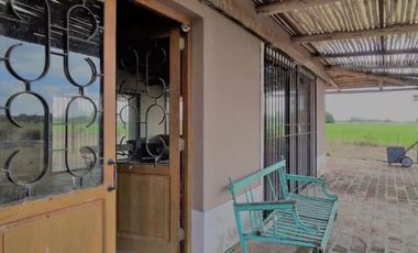 Campo en Venta - Carlos Keen