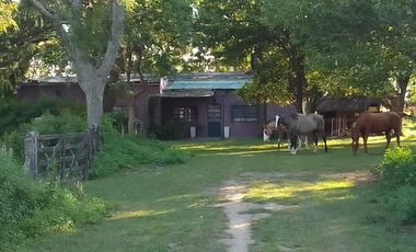 Campo en Venta - Carlos Keen