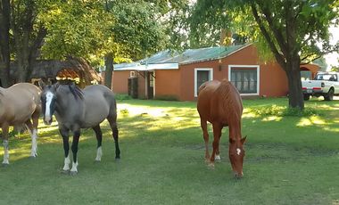Campo en Venta - Carlos Keen
