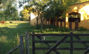 Campo en Venta - Carlos Keen