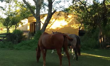 Campo en Venta - Carlos Keen