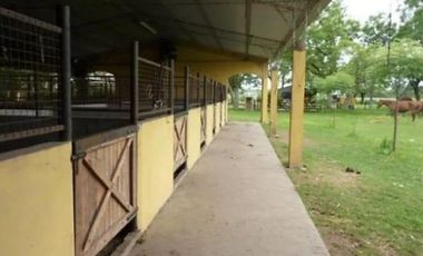 Campo en Venta - Carlos Keen