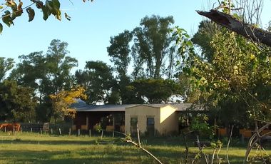 Campo en Venta - Carlos Keen