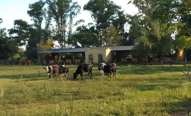 Campo en Venta - Carlos Keen