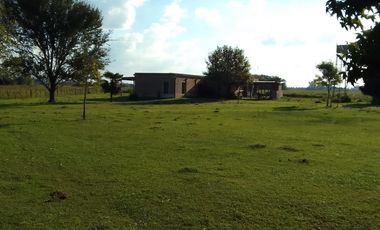 Campo en Venta - Carlos Keen