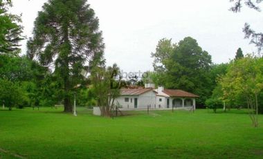 Casa - Villa Elisa