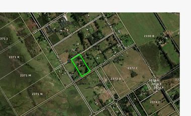 Casas en venta - 4 Dormitorios 2 Baños - 20.000Mts2 - Zelaya