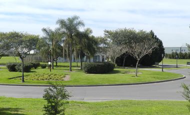 VENTA, TERRENO, SAN MATIAS, AREA 3, LOTE AL 200