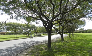 VENTA, TERRENO, SAN MATIAS, AREA 3, LOTE AL 200