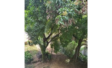 Apartamento en Arriendo Poblado sector Castropol