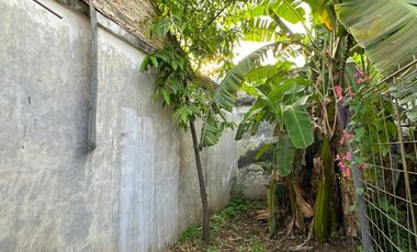 Arriendo Apartaestudio En Primer Piso Con Patio Barrio La Flora Norte De Cali