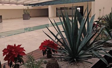 RENTA DE OFICINAS EN TORRE PALMAS METEPEC