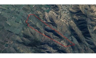 Inversionistas, Terreno De 85 Hectáreas En Culiprán