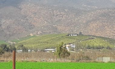 Inversionistas, Terreno De 85 Hectáreas En Culiprán