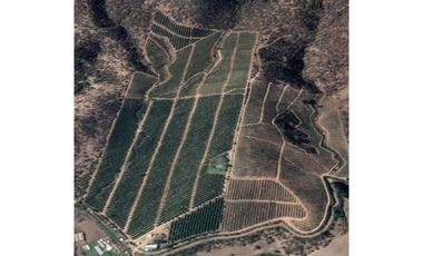 Inversionistas, Terreno De 85 Hectáreas En Culiprán