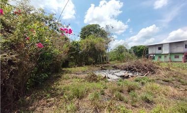 Terreno con Lotes Comerciales en venta El Espino-La Chorrera (DR)