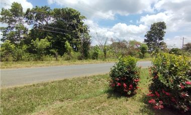Terreno con Lotes Comerciales en venta El Espino-La Chorrera (DR)