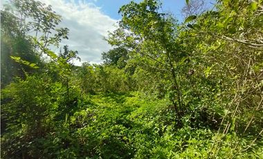 Se Vende Finca Comercial  de 1.1 HAS-Chorrera  (DR)