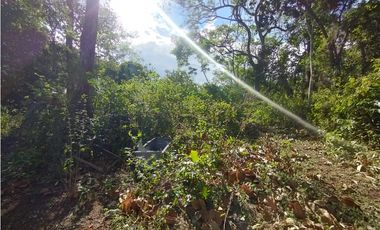 Se Vende Finca Comercial  de 1.1 HAS-Chorrera  (DR)