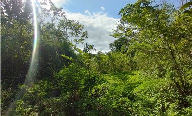 Se Vende Finca Comercial  de 1.1 HAS-Chorrera  (DR)