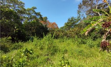 Se Vende Finca Comercial  de 1.1 HAS-Chorrera  (DR)