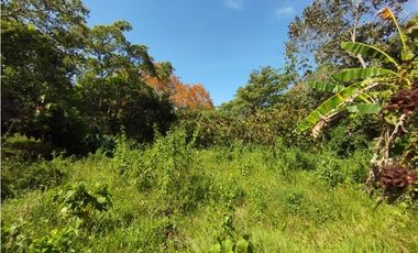 Se Vende Finca Comercial  de 1.1 HAS-Chorrera  (DR)
