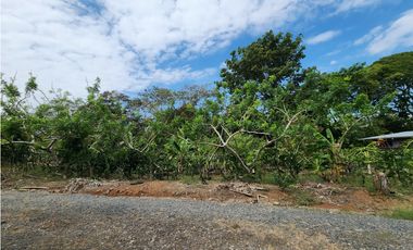 Se Vende Lote de 900m2 La Seda-Chorrera (DR)