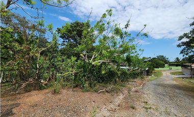 Se Vende Lote de 900m2 La Seda-Chorrera (DR)