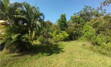 Terreno en venta  de 4.700m2 en Potrero Grande-La Chorrera (DR)