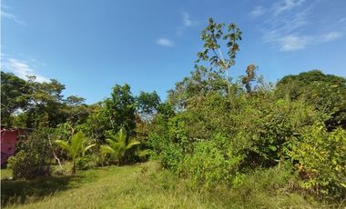 Terreno en venta  de 4.700m2 en Potrero Grande-La Chorrera (DR)