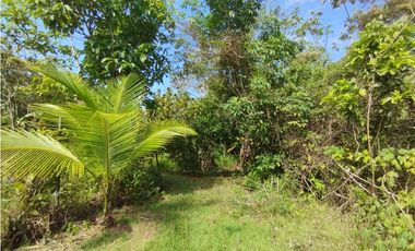 Terreno en venta  de 4.700m2 en Potrero Grande-La Chorrera (DR)