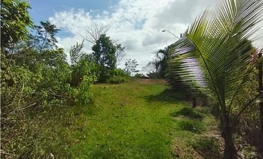 Terreno en venta  de 4.700m2 en Potrero Grande-La Chorrera (DR)