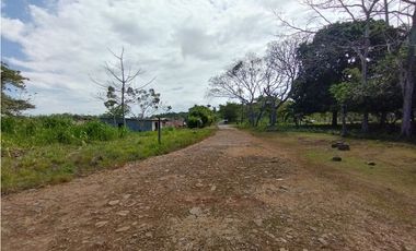 Terreno en venta  de 4.700m2 en Potrero Grande-La Chorrera (DR)