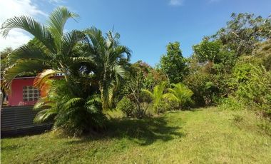 Terreno en venta  de 4.700m2 en Potrero Grande-La Chorrera (DR)