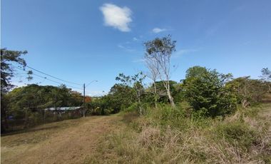 Terreno en venta  de 4.700m2 en Potrero Grande-La Chorrera (DR)
