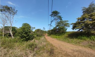 Terreno en venta  de 4.700m2 en Potrero Grande-La Chorrera (DR)