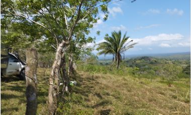 Finca en venta de 15 HAS el Lirio Arraijan (DR)