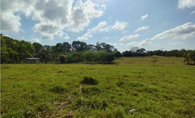 Finca en venta de 15 HAS el Lirio Arraijan (DR)