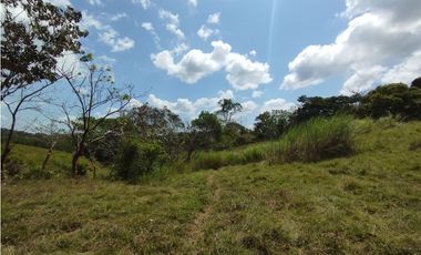 Finca en venta de 15 HAS el Lirio Arraijan (DR)